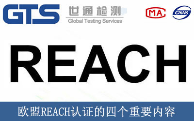 WREACHJ(rn)CĂҪ(ni)